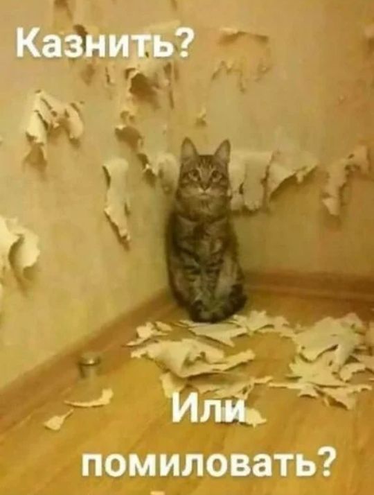 ФКЦ Ц ШШШ т