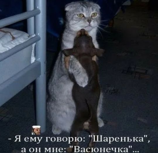 Я ему говорір ТШаренька а он мнет Васюнечка
