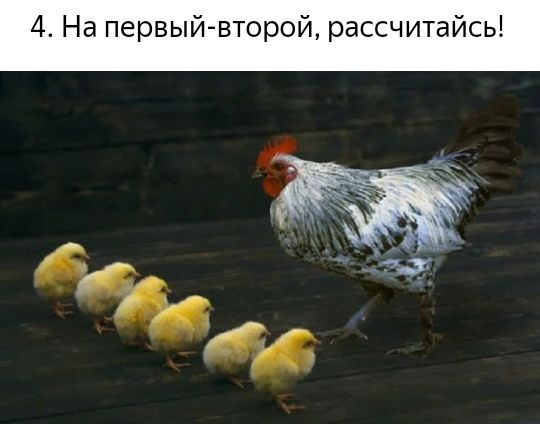 4 На первый второй рассчитайсь