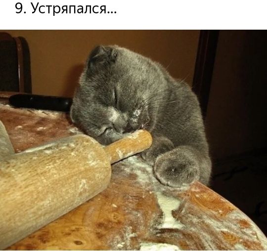 9 Устряпался
