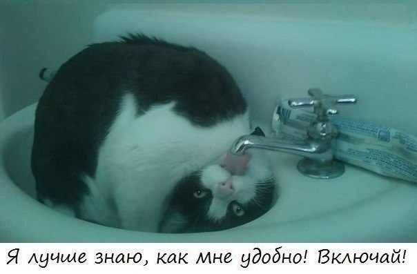 Я лучше знаю как Мне удобно Вкдючай