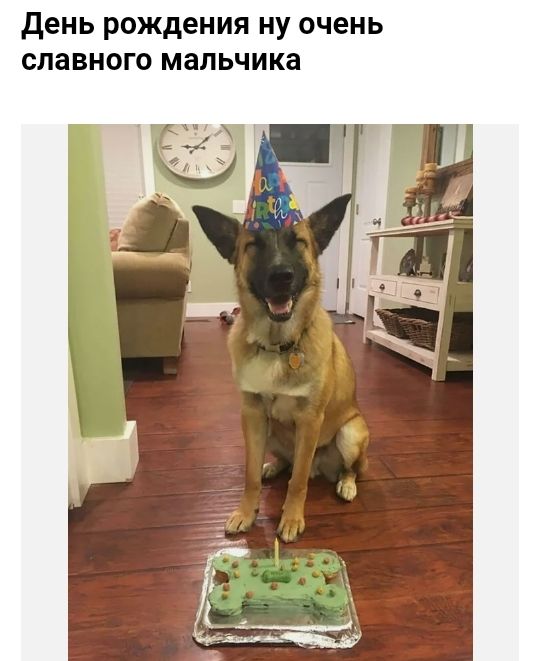 день рождения ну очень славного мальчика