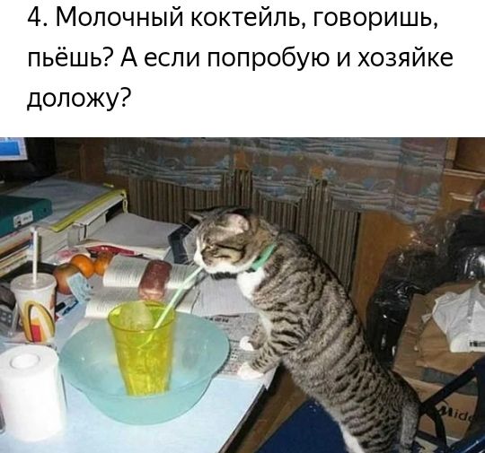4 Молочный коктейль говоришь пьёшь А если попробую и хозяйке доложу