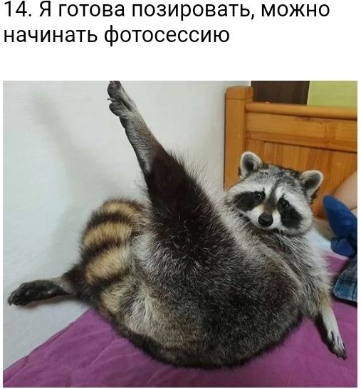 14 Я готова позировать можно начинать фотосессию
