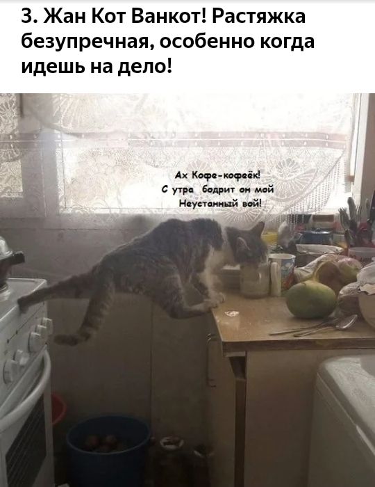 3 Жан Кот Ванкот Растяжка безупречная особенно ког а идешь на дело Ах Кофе щёк с ещ й Нпупяжнй ий