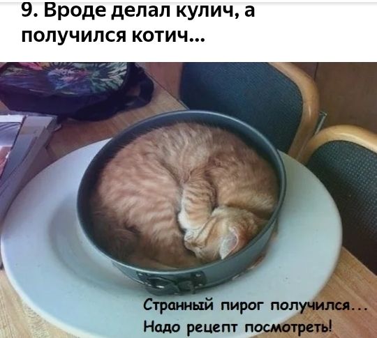 Вроде делал кулич а учился коти Нпдо рецепт п
