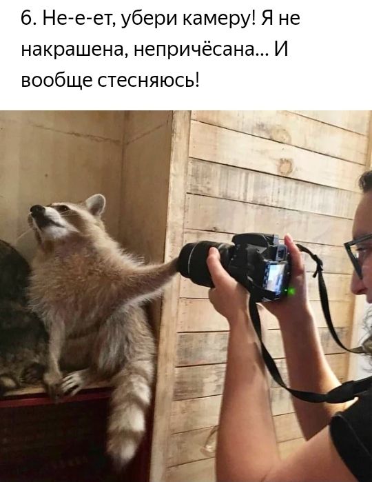 6 Не е ет убери камеру Я не накрашена непричёсана И вообще стесняюсь