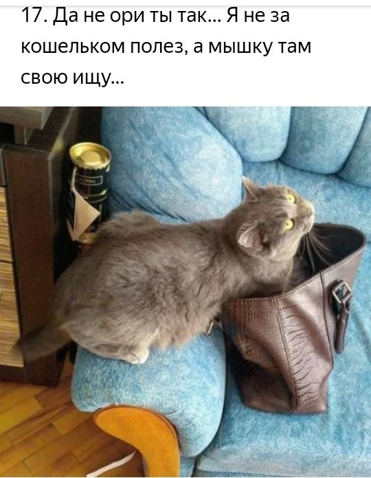 17 Да не ори ты так Я не за кошельком полез а мышку там СВОЮ Ищу тиши