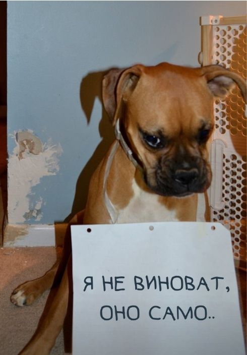 ОНО САМО