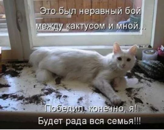 Будет рада вся семья