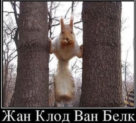 Жан Клод Ван Бслк