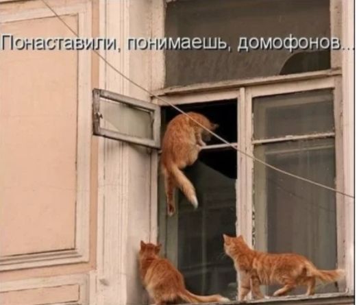 Поначгааипи пон маешь домофонод