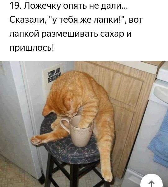 19 Ложечку опять не дали Сказали у тебя же папкиі вот папкой размешивать сахар и пришлось