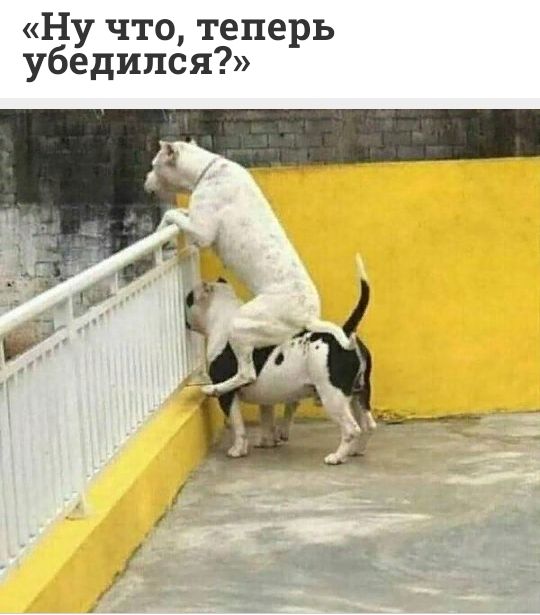 Ну что теперь убедился
