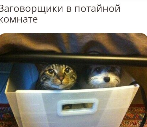 Заговорщики в потайной омнате