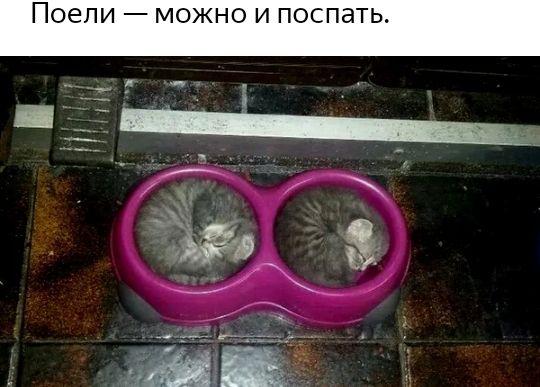 Поели _ МОЖНО И поспать и