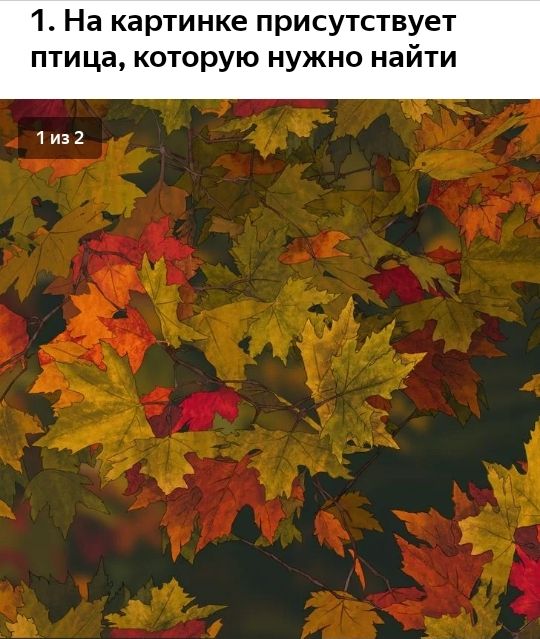 1 На картинке присутствует птица которую нужно найти 1и32