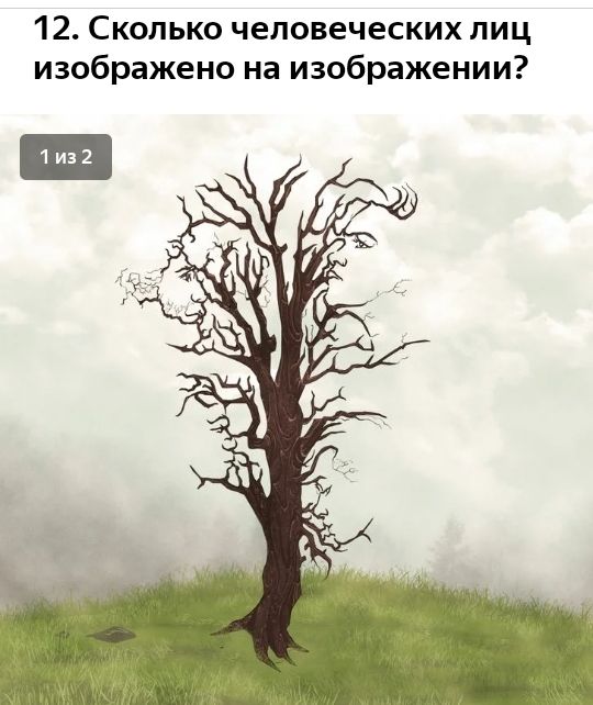 12 Сколько человеческих лиц изображено на изображении
