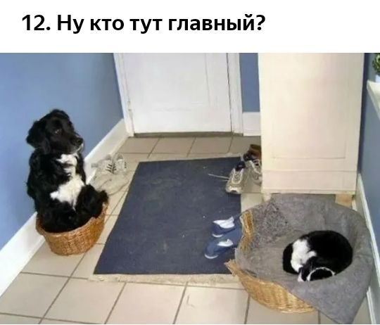 12 Ну кто тут главный