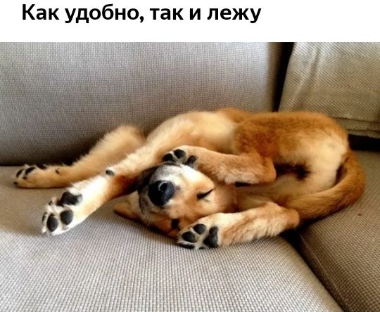 Как удобно так и лежу
