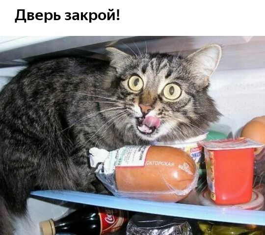 Вообще то я добрый играть люблю