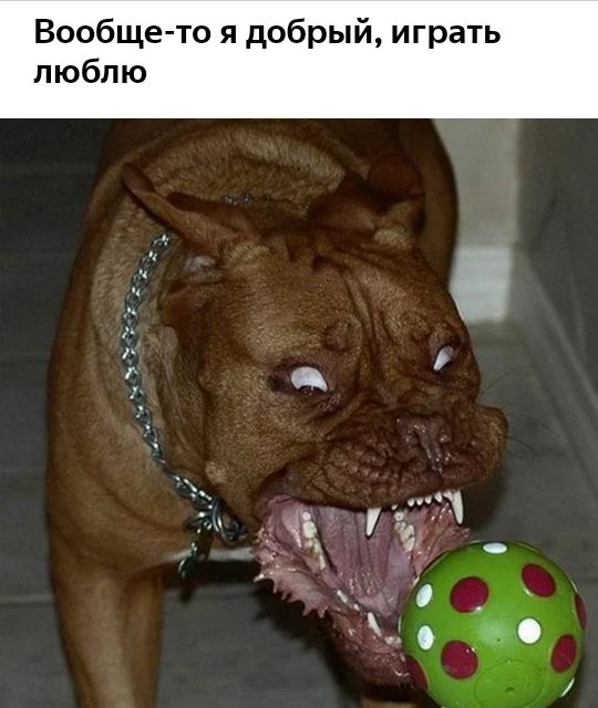 дим ще то я добрый играть люблю