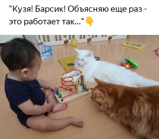 Кузя Барсик Объясняю еще раз это работает так