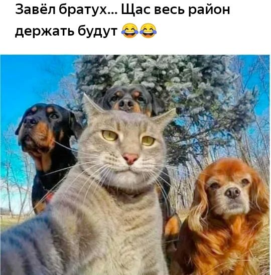 Завёп братух Щас весь район держать будут 9 9