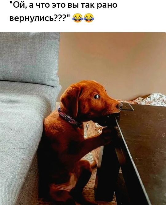 Ой а что это вы так рано вернулись