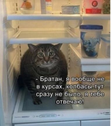 Щл