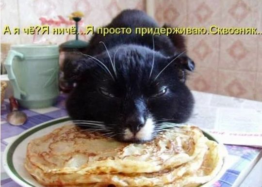 ишоЗкзшнт