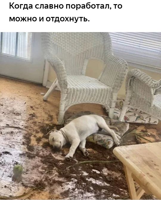 Когда славно поработал ТО МОЖНО И ОТДОХНУТЬ