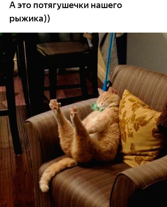 А это потягушечки нашего рыжика