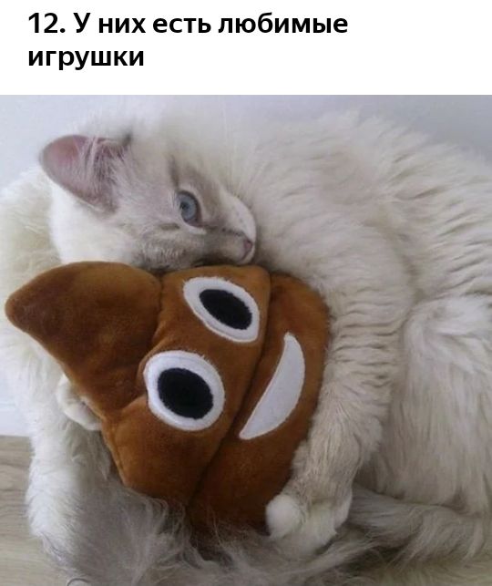 12 У них есть любимые игрушки