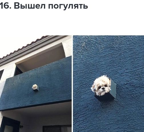 6 Вышел п гупять