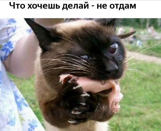 Что хочешь делай не отдам