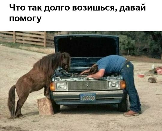 Что так долго возишься давай помогу