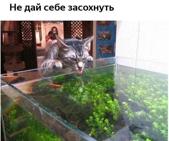 Не дай себе засохнуть