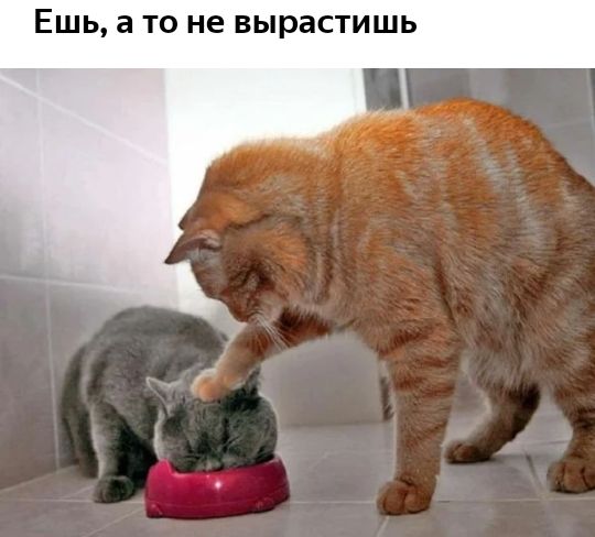 ЕШЬ а ТО не вырастишь