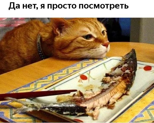 Да нет я просто посмотреть