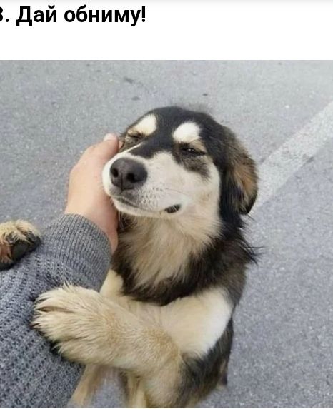 дай обниму