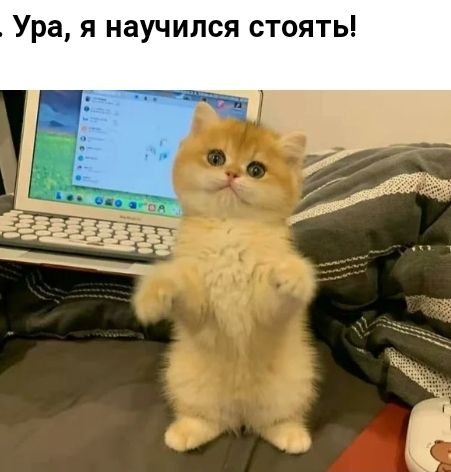 Ура я научился стоять