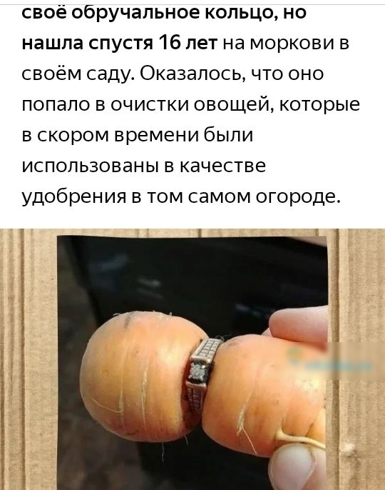 своё обручальное кольцо но нашла спустя 16 лет на моркови в своём саду Оказалось что оно попало в очистки овощей которые в скором времени были использованы в качестве удобрения в том самом огороде