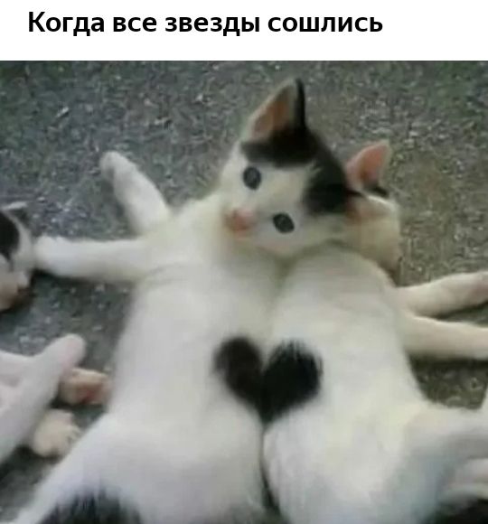 К гда все звезды СОШЛИСЬ