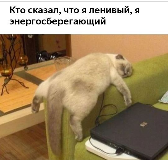 Кто сказал что я ленивый я энергосберегающий