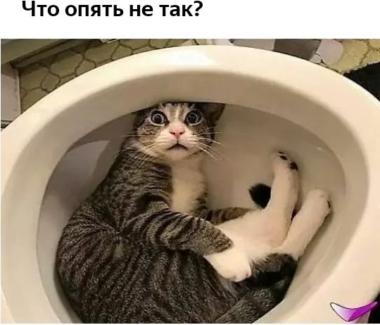 Что оп ть не так