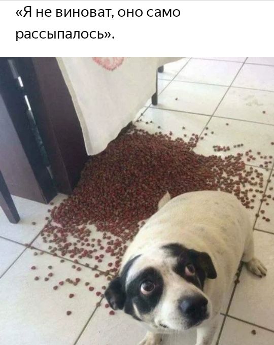 Я не ВИНОВЭТ ОНО СЭМО рассыпапось