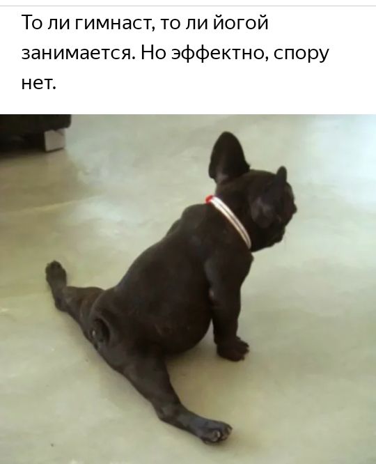 То ли гимнаст то ли йогой занимается Но эффектно спору нет