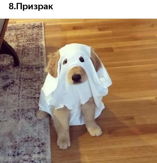 8Призрак