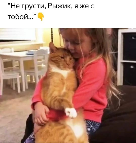 Не грусти Рыжик я же с тобой